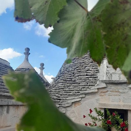 La Rosa Dei Trulli B&B Alberobello Kültér fotó