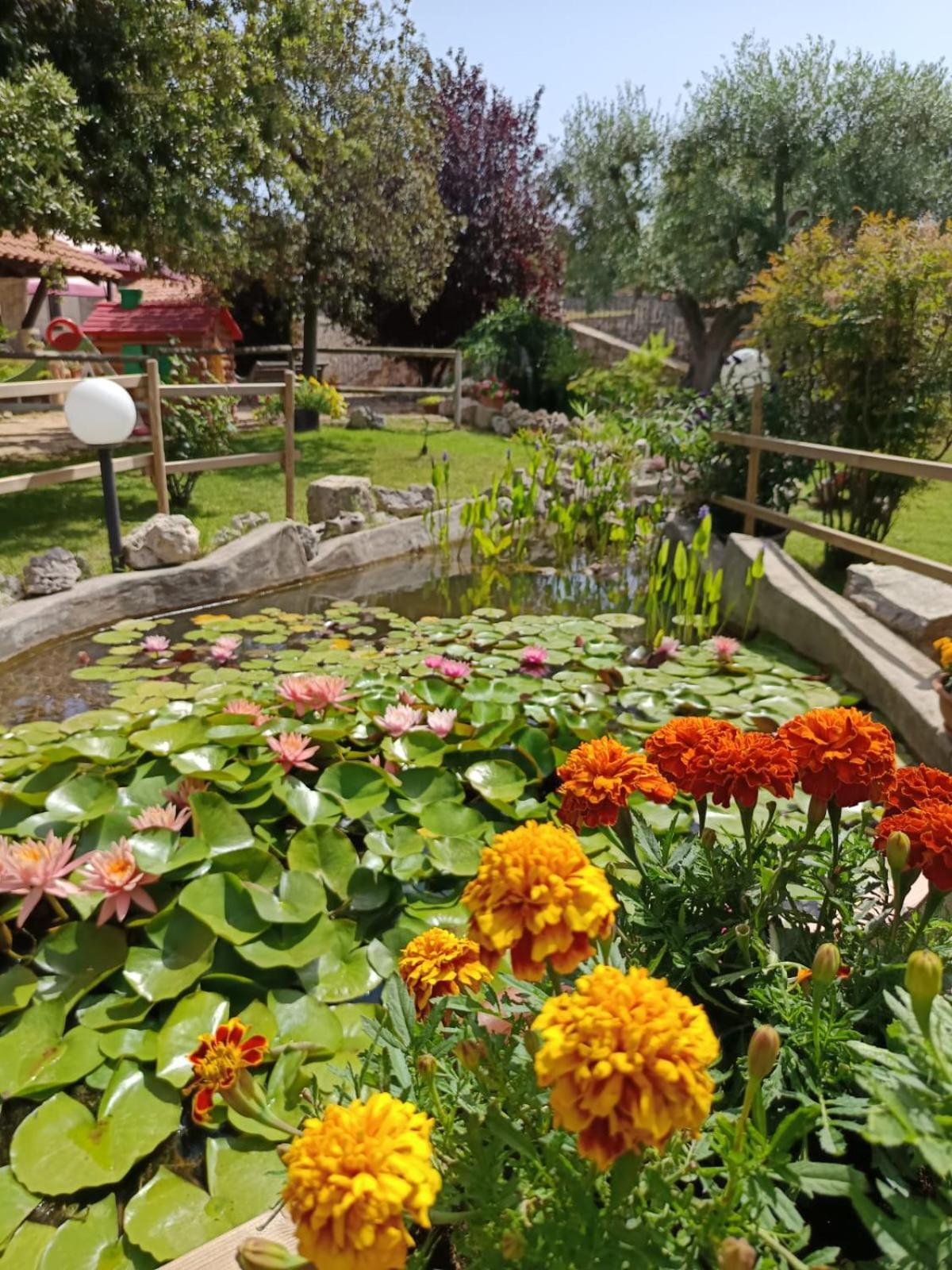 La Rosa Dei Trulli B&B Alberobello Kültér fotó