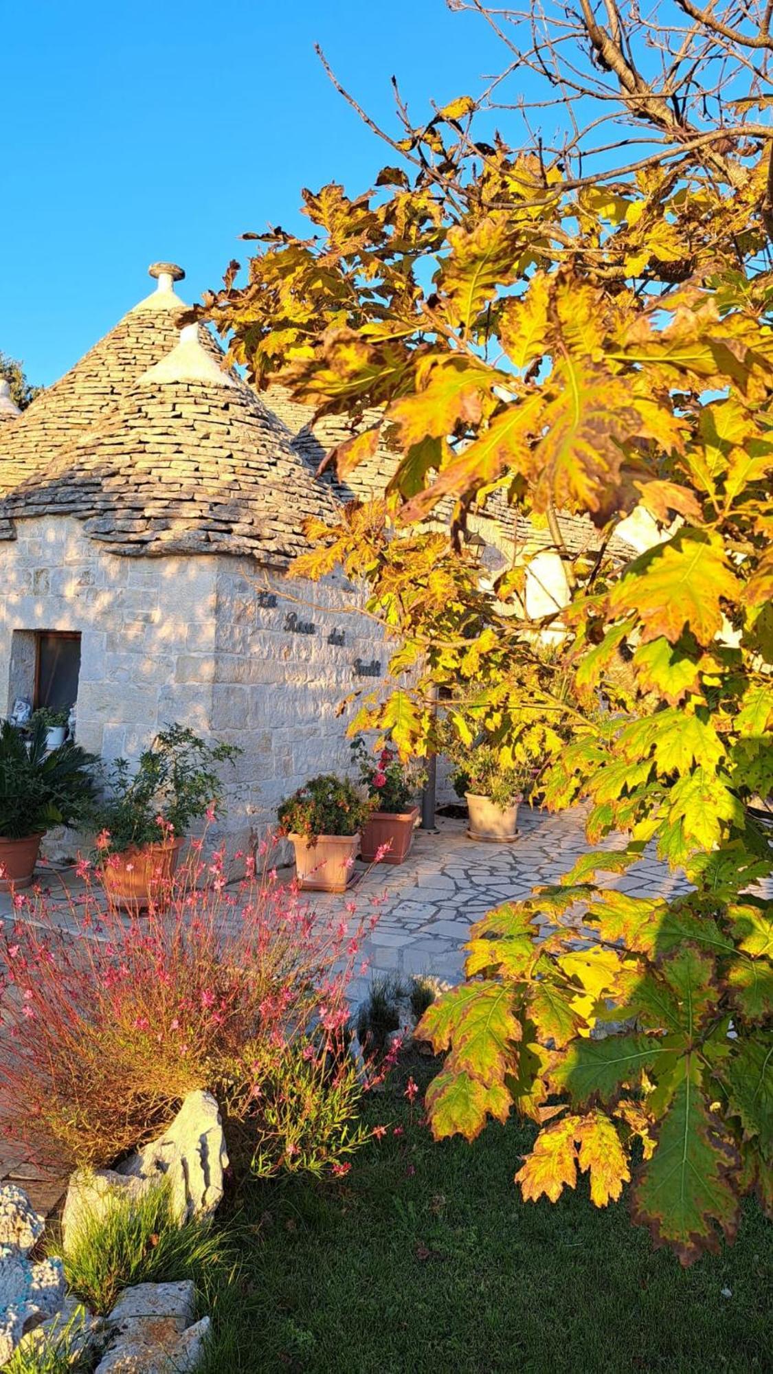 La Rosa Dei Trulli B&B Alberobello Kültér fotó