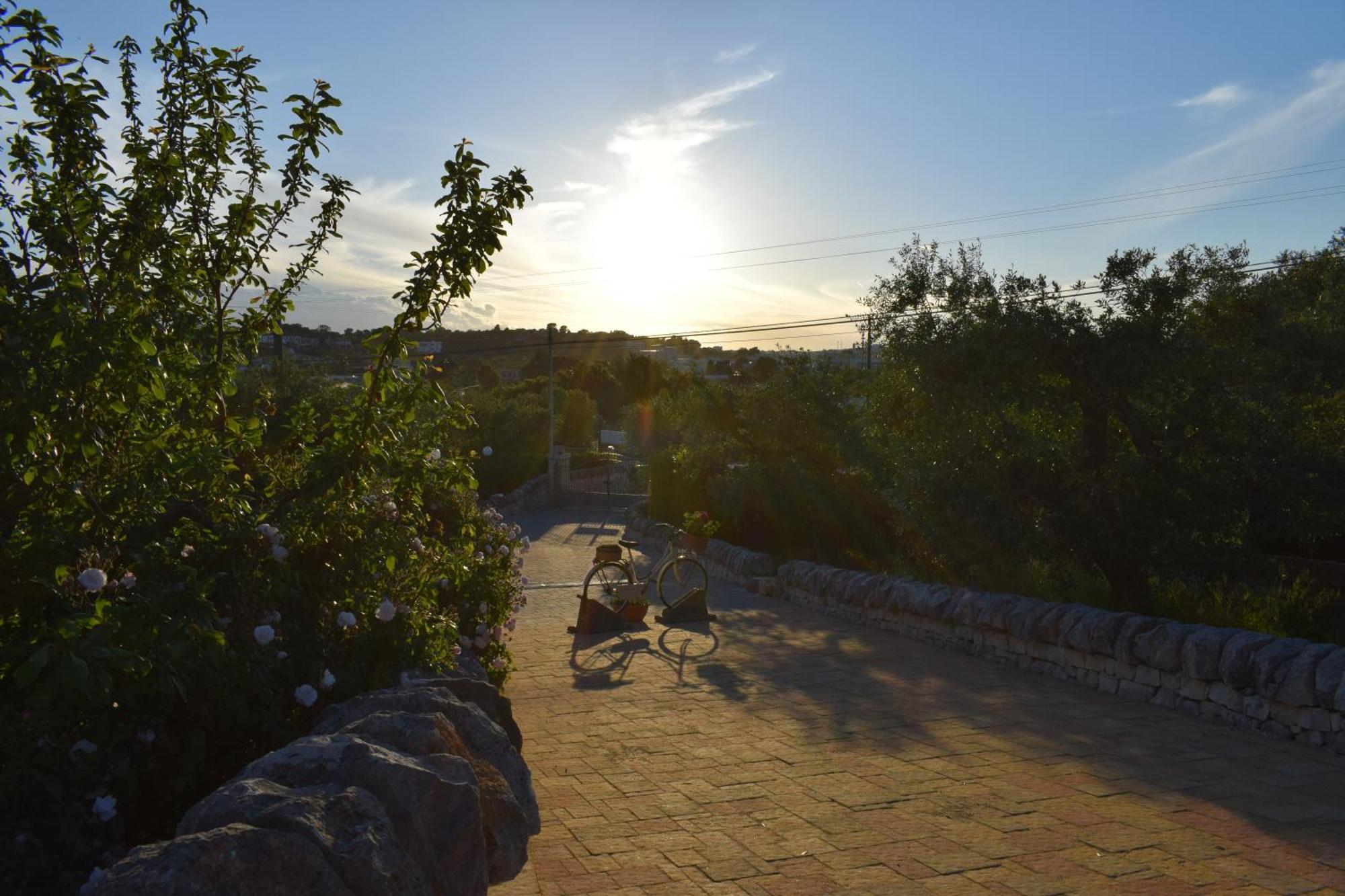 La Rosa Dei Trulli B&B Alberobello Kültér fotó