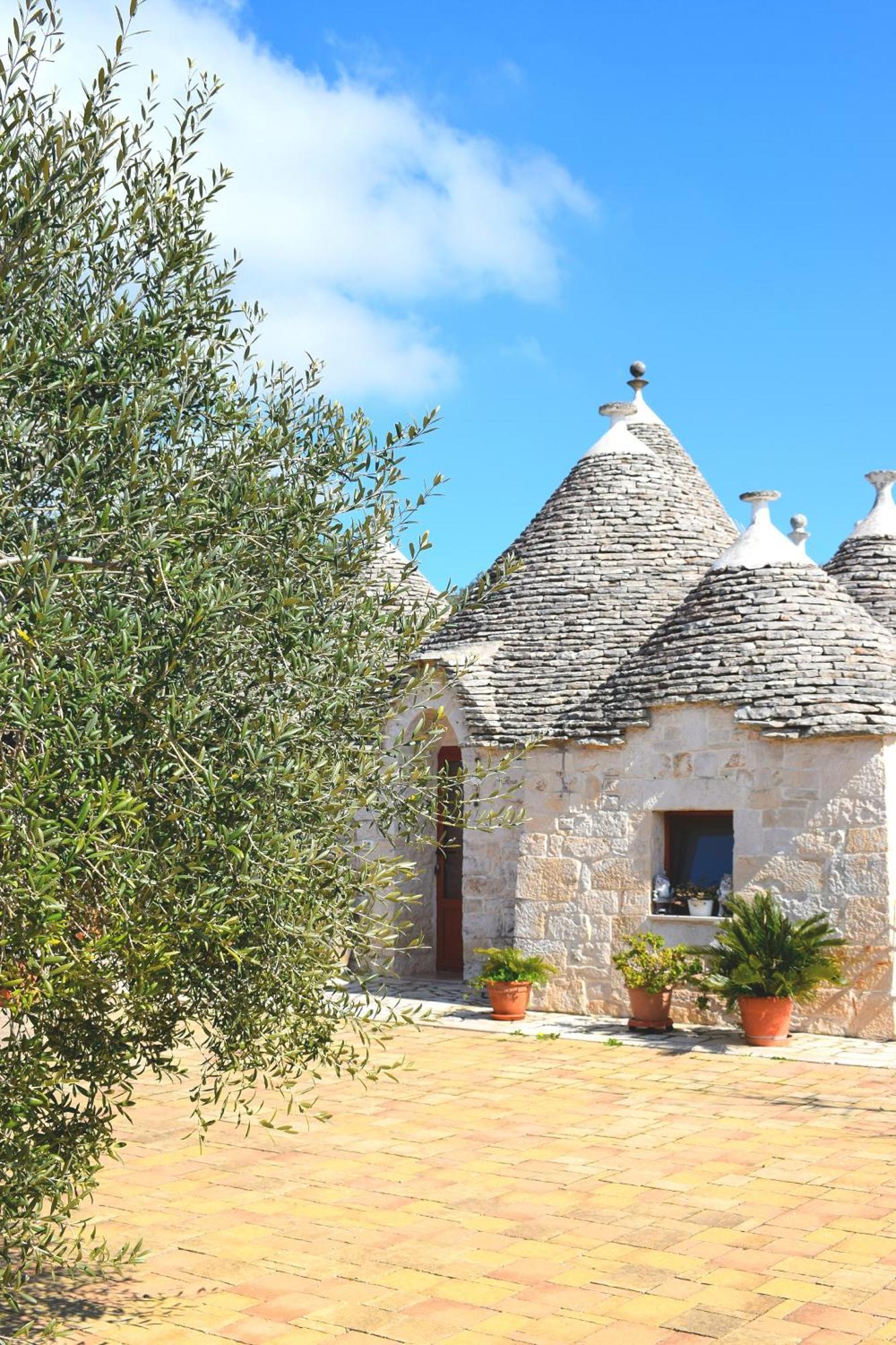 La Rosa Dei Trulli B&B Alberobello Kültér fotó