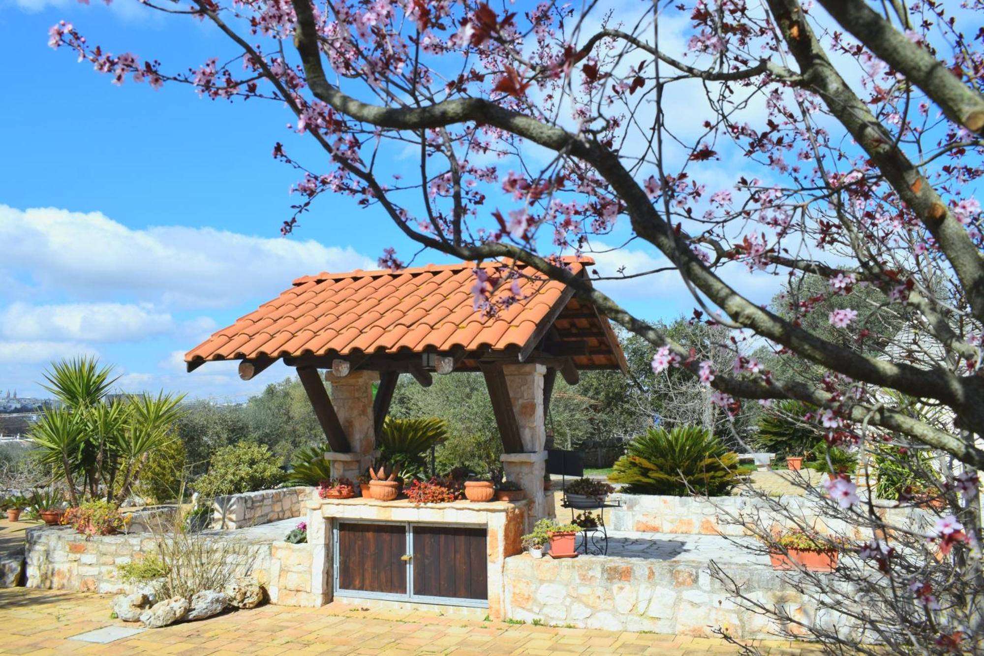 La Rosa Dei Trulli B&B Alberobello Kültér fotó