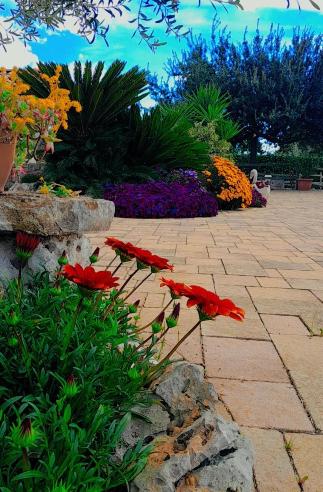 La Rosa Dei Trulli B&B Alberobello Kültér fotó